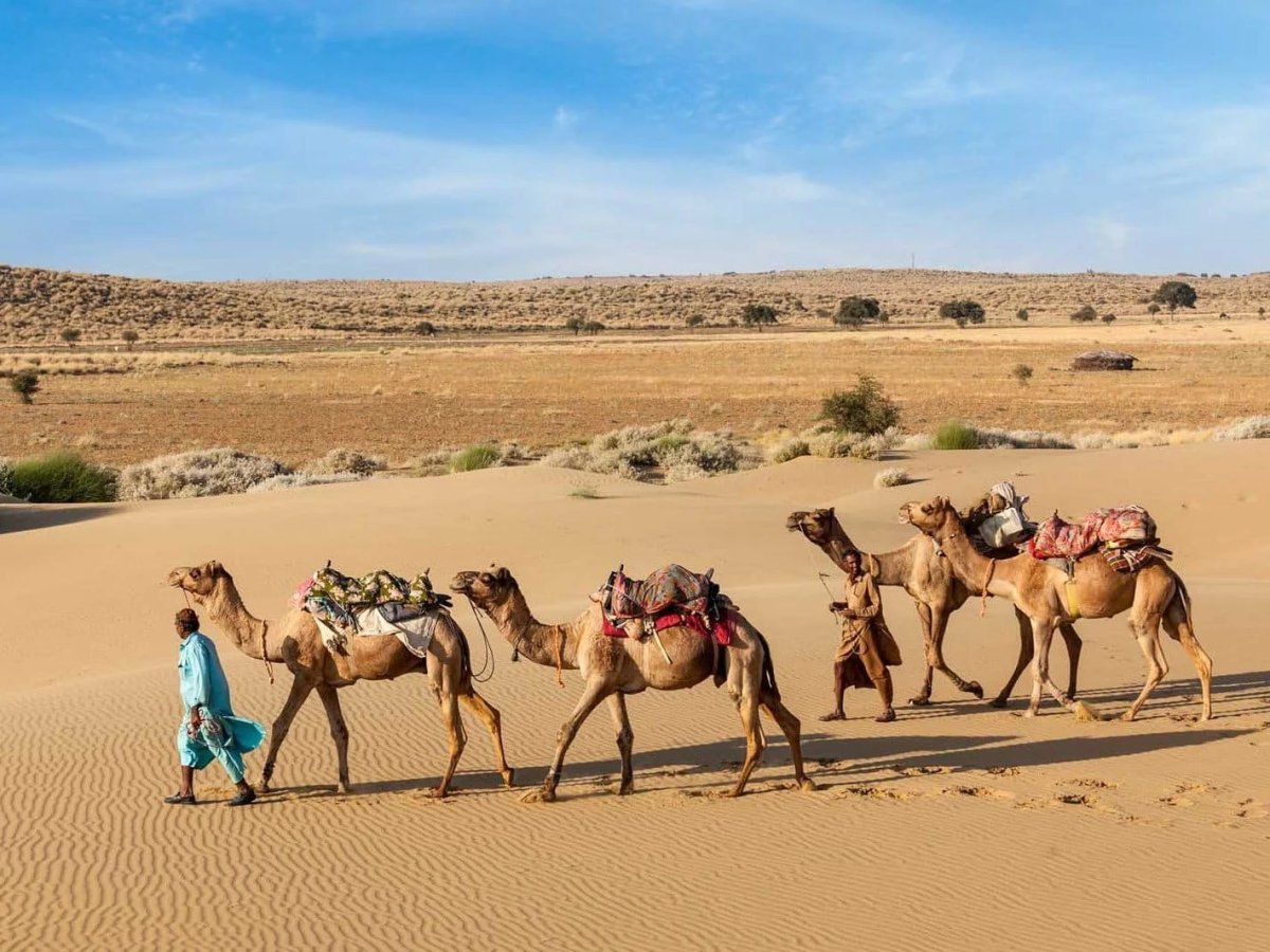 Jaisalmer Tourism: Unveiling the Golden City on a Royal Odyssey